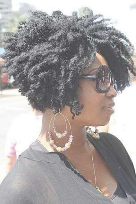 25 Best Short Hairstyles For Black Women 2014 | Short Hairstyles With Regard To Afro Bob Haircuts (View 2 of 15)