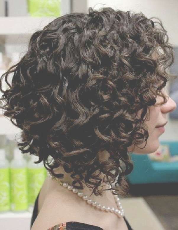 Best 25+ Curly Bob Haircuts Ideas On Pinterest | Curly Bob In Bob Hairstyles For Curly Hair (View 8 of 15)