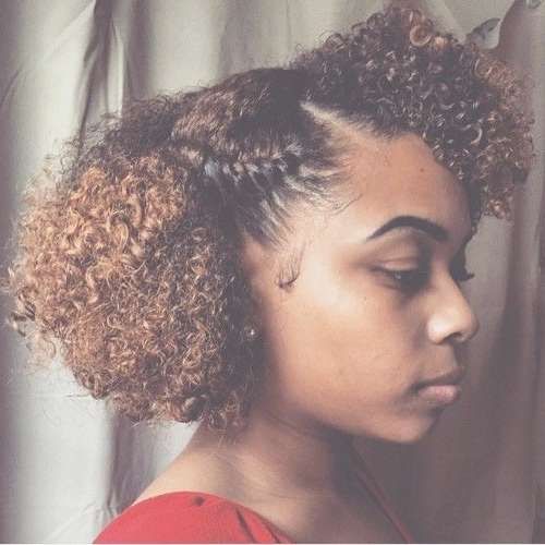 African American Natural Hairstyles For Medium Length Hair Pertaining To Most Recently Medium Haircuts For Natural African American Hair (View 20 of 25)