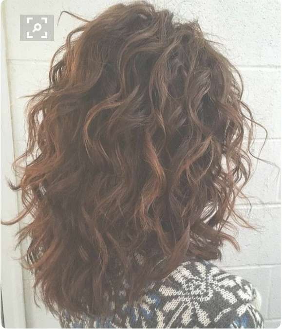 Best 25+ Thick Curly Haircuts Ideas On Pinterest | Curly Medium With Regard To 2018 Thick Curly Medium Haircuts (View 23 of 25)