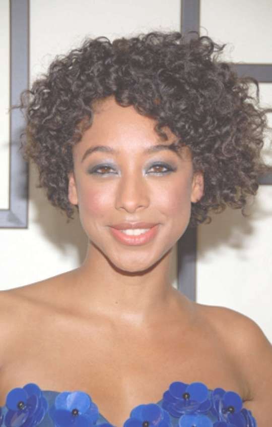 Black Natural Curly Hairstyles For Medium Length Hair 2017 Within Most Recent Medium Haircuts For Curly Black Hair (Photo 1 of 25)