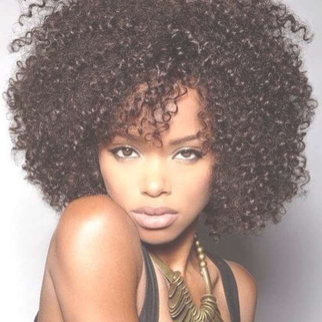 Curly Afro Hairstyles 2016 | Hairstyles Gallery Pertaining To Most Recently Afro Medium Hairstyles (Photo 8 of 15)