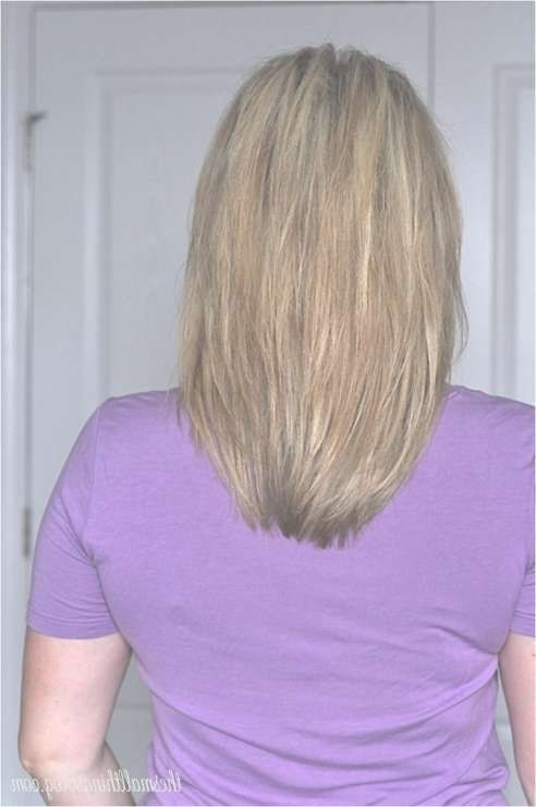 Hairstyles Back View Styles In 2018 Purple Medium Hairstyles (Photo 23 of 25)