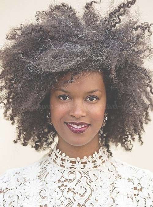 Medium Natural Curly – Natural Curly Hairstyle With Red Highlights Regarding Current Natural Medium Haircuts (Photo 15 of 15)