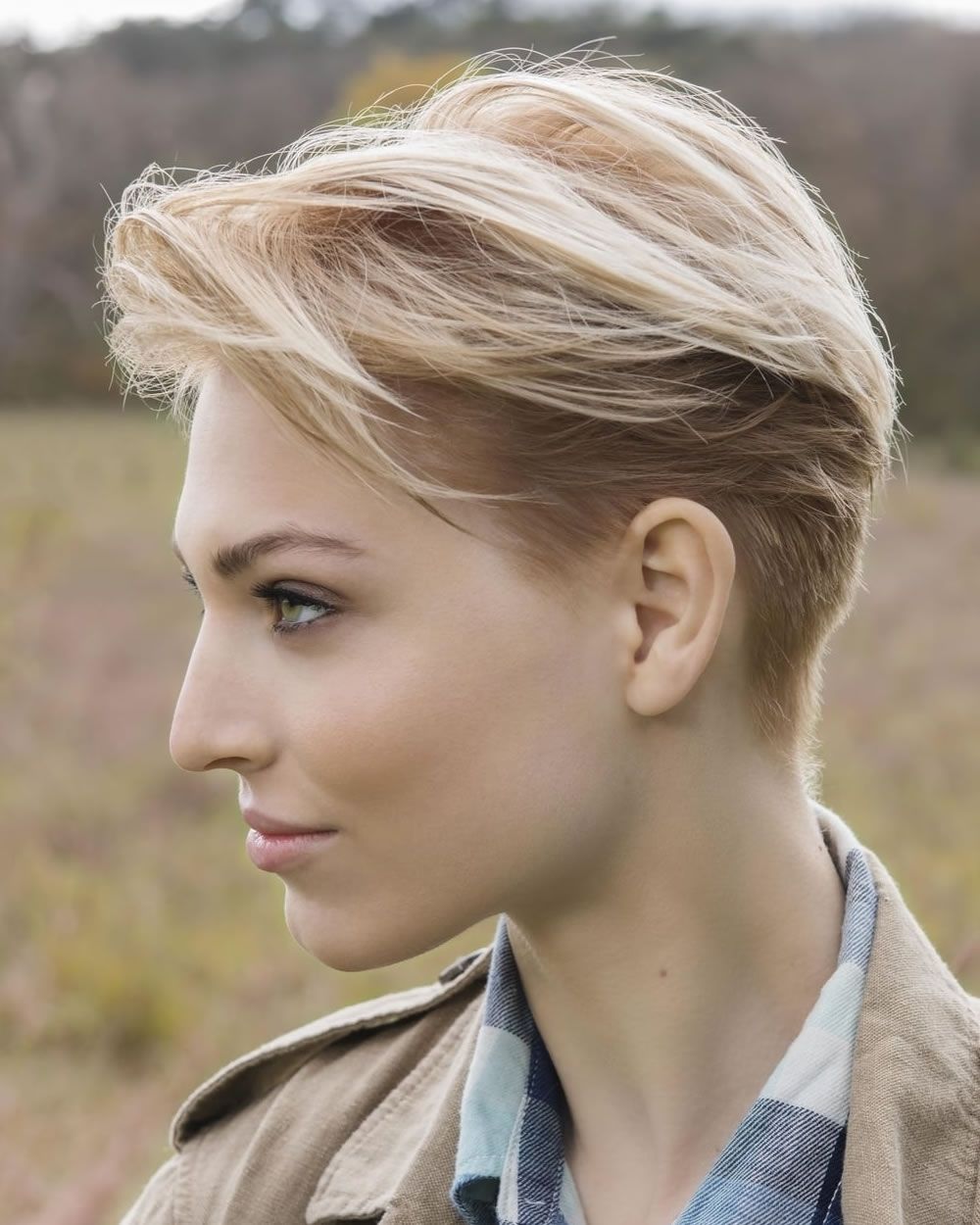 Beautiful Short Pixie Haircut Compilation For 2018 & Super Short With Regard To Best And Newest Ultra Short Pixie Hairstyles (View 7 of 15)