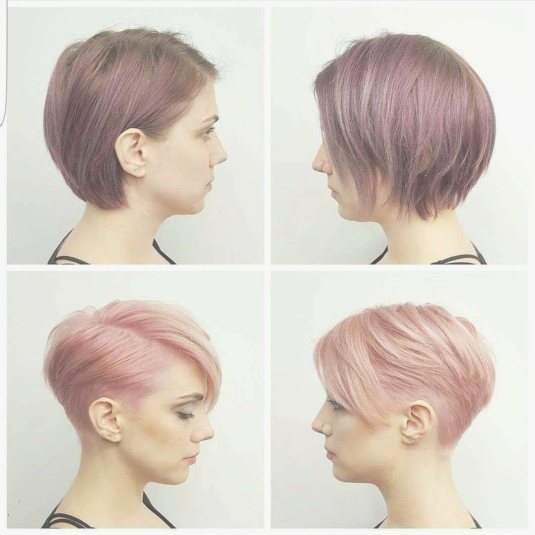 Bob Hairstyles : Top Bob Pixie Hairstyles View In 2018 Hairstyles Inside Most Up To Date Bob Pixie Hairstyles (Photo 5 of 12)