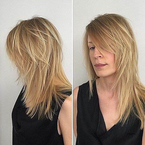 Long Hairstyles. New Pictures Of Long Shaggy Layered Hairstyles With Most Recent Layered Shaggy Long Hairstyles (Photo 11 of 15)