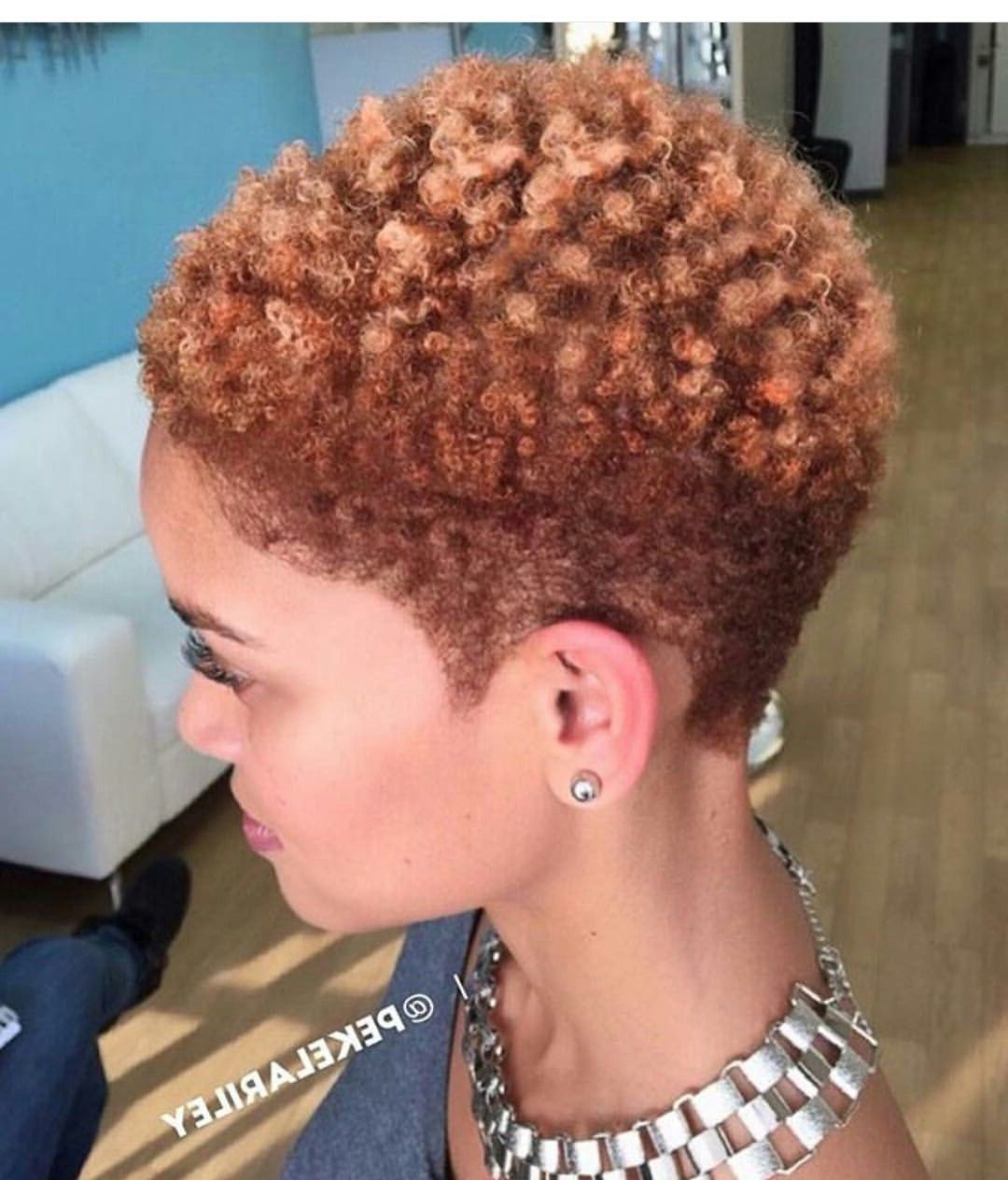 Love This Cut Naturalistas Pinterest | Low Fro | Pinterest Inside Best And Newest Pixie Hairstyles For Natural Hair (Photo 1 of 15)