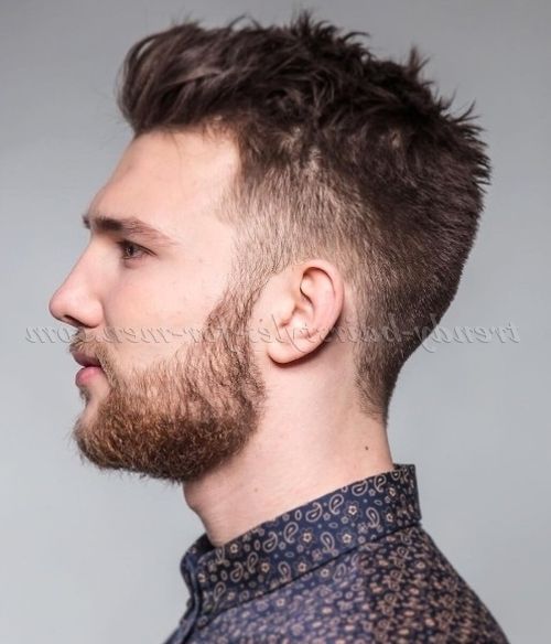 Messy Hairstyles For Men – Messy Hairstyle For Men | Trendy Inside Newest Shaggy Salon Hairstyles (View 13 of 15)