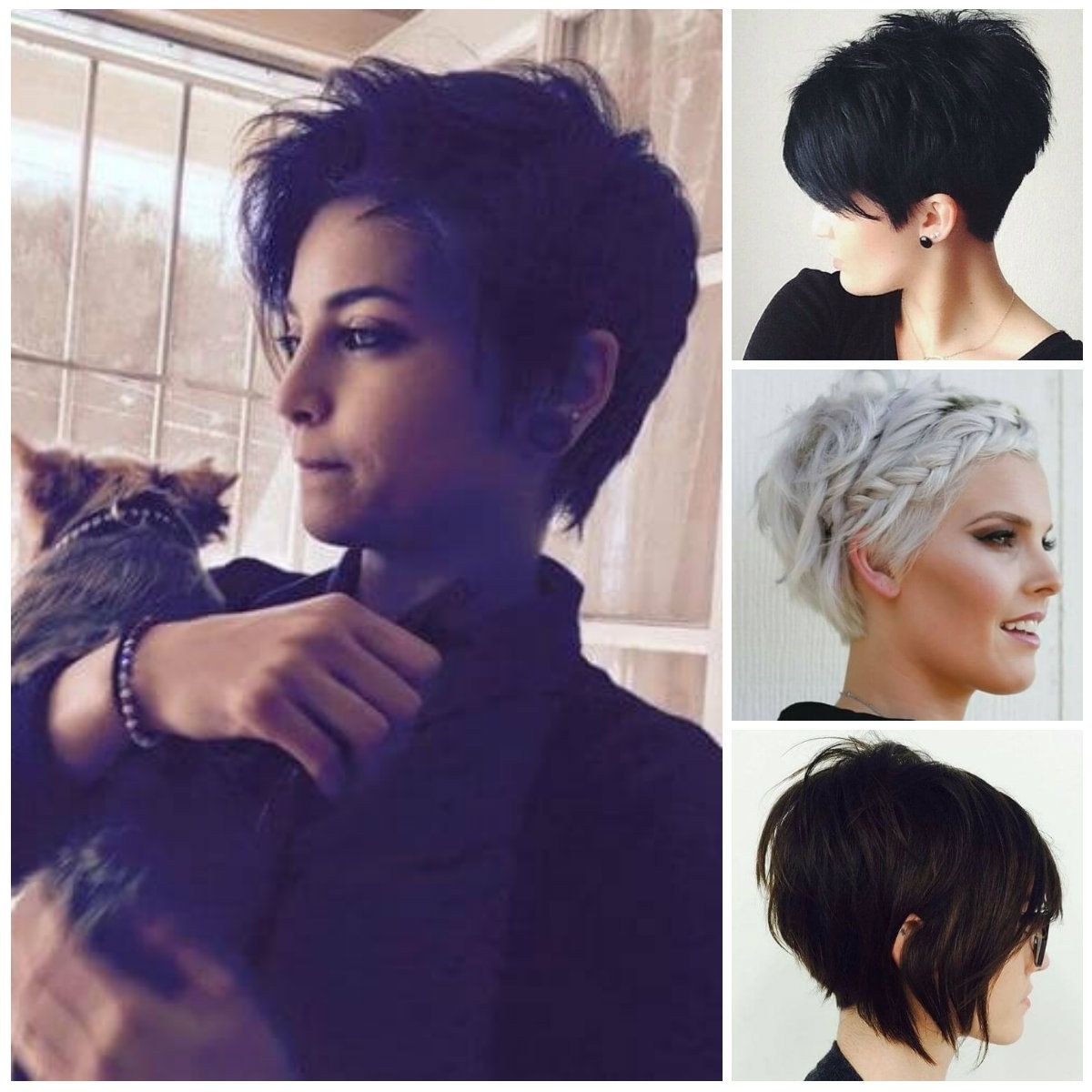 Messy Pixie Hairstyles For 2017 | Hairstyles 2018 New Haircuts And With Regard To Most Recent Messy Pixie Hairstyles (View 8 of 15)