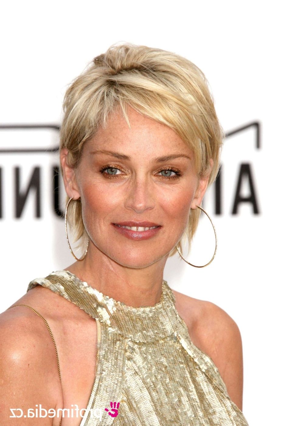 Sharon Stone Hairstyles Alanlisi Fantastic Short Hair Celebrity Within Most Recently Sharon Stone Pixie Hairstyles (Photo 5 of 15)