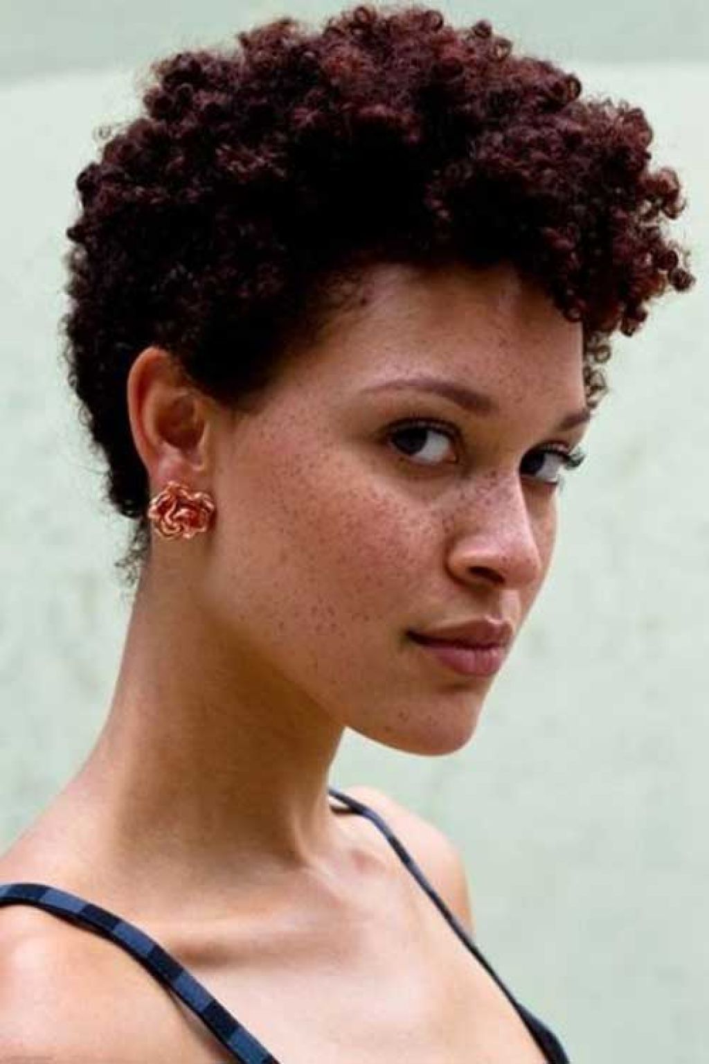 Short Hair Archives – Popular Long Hairstyle Idea Regarding Best And Newest Pixie Hairstyles With Curly Hair (Photo 29 of 33)