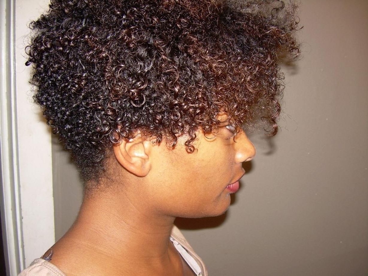 Short Hairstyles For Naturally Curly Black Hair Popular Short Intended For Newest Pixie Hairstyles For Natural Hair (View 15 of 15)