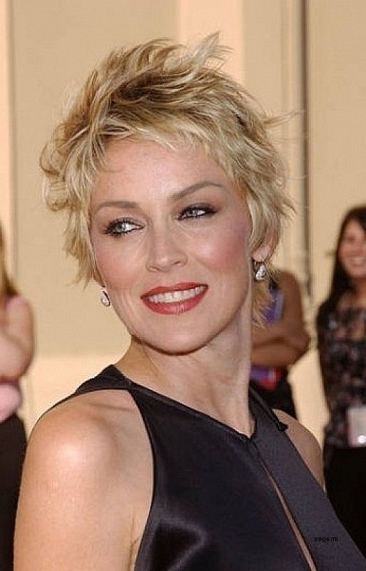 Short Hairstyles Short Hairstyles Shaggy Layers Best Of Short For Most Popular Shaggy Hairstyles For Fine Hair Over 50 (Photo 8 of 15)
