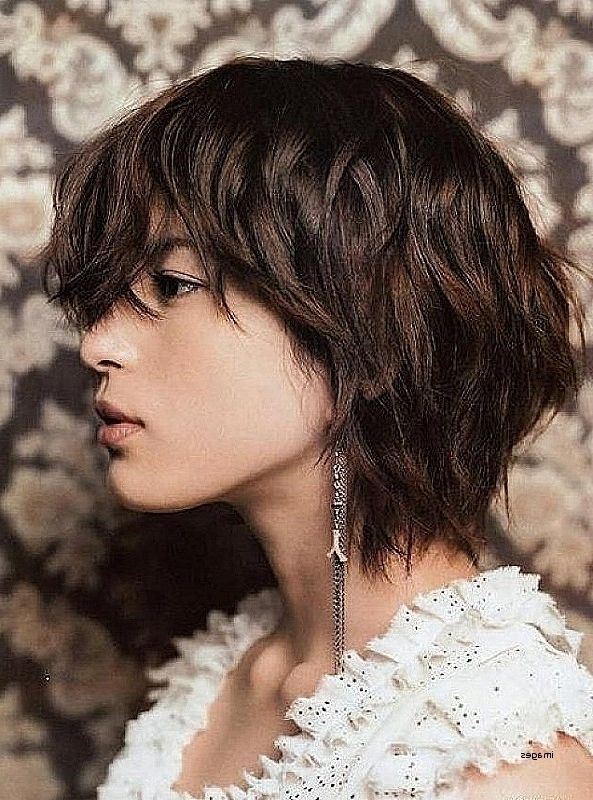 Short Hairstyles Short Hairstyles Shaggy Layers Unique Short In Most Recent Shaggy Hairstyles For Thick Wavy Hair (View 2 of 15)