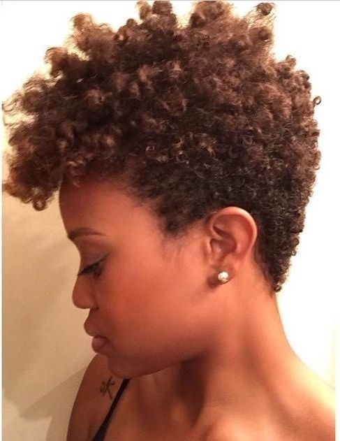 Short Natural Hairstyles For Black Women 2017 With Regard To Newest African Shaggy Hairstyles (View 5 of 15)