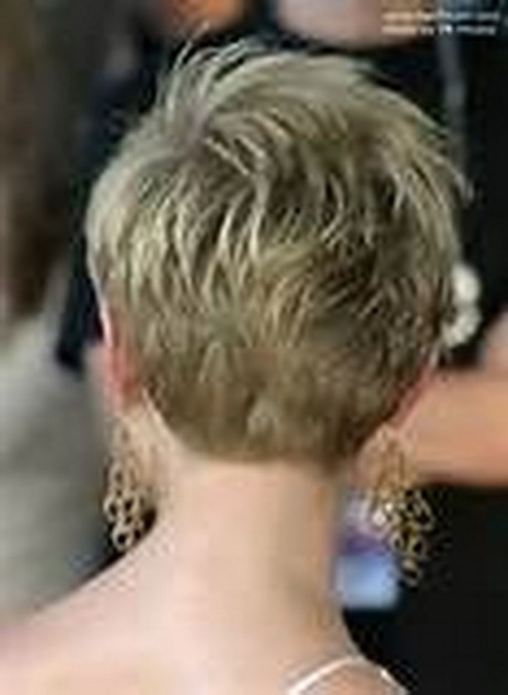 Short Pixie Haircuts Back View Picture – Popular Long Hairstyle Idea Intended For 2018 Short Pixie Hairstyles From The Back (View 6 of 15)