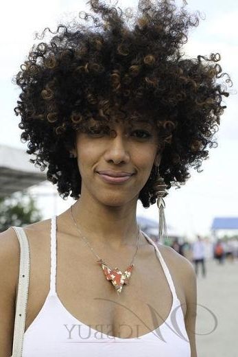 Stylish African American Hairstyle Shaggy Medium Curly Black And Throughout Most Current African Shaggy Hairstyles (Photo 3 of 15)