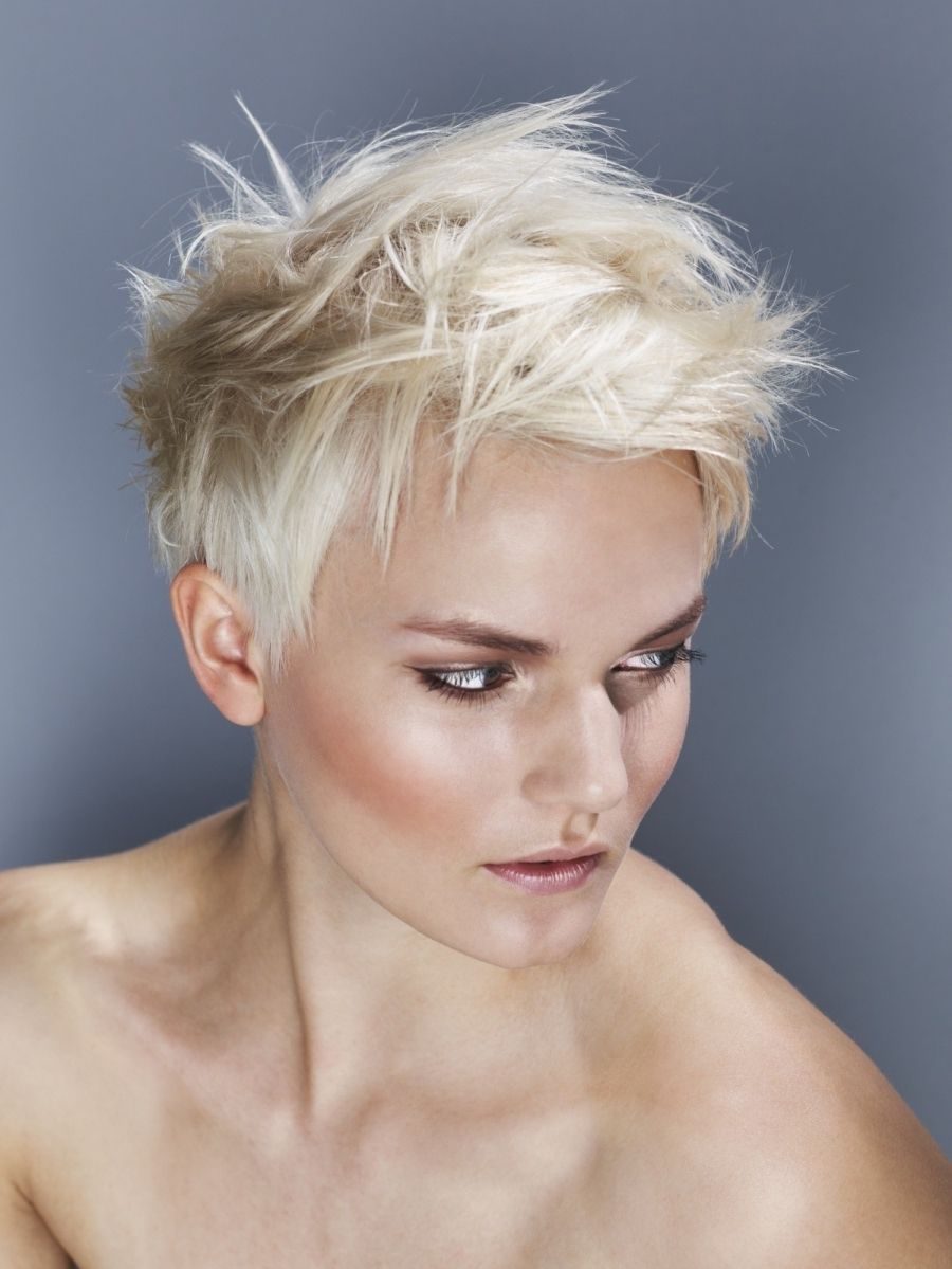 The Most Popular Short Haircuts For Modern Women | Bloglet Within Newest Crop Pixie Hairstyles (View 8 of 15)
