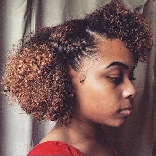 African American Natural Hairstyles For Medium Length Hair Inside Current Natural Hair Updos For Medium Hair (Photo 5 of 15)