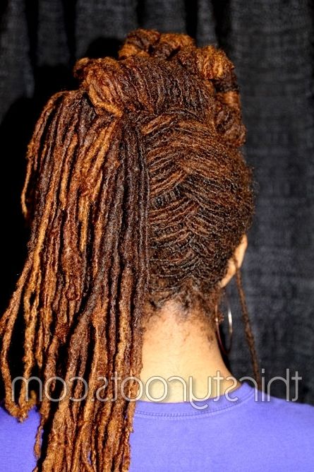 Long Locs 2 With Most Recent Updo Hairstyles For Long Locs (Photo 15 of 15)