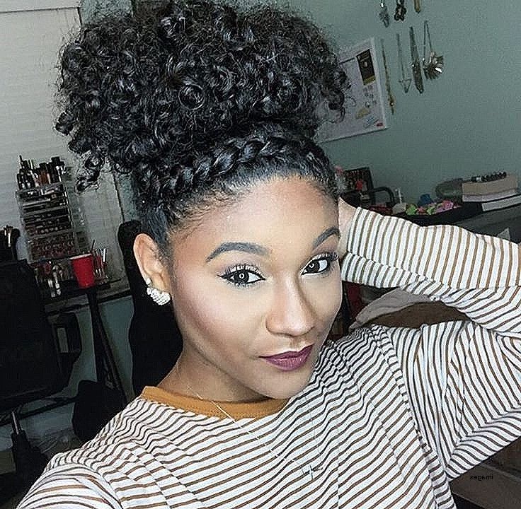 Natural Curly Hairstyles With Braids New Best 25 Natural Hair Updo With Regard To Most Popular Updo Naturally Curly Hairstyles (Photo 11 of 15)