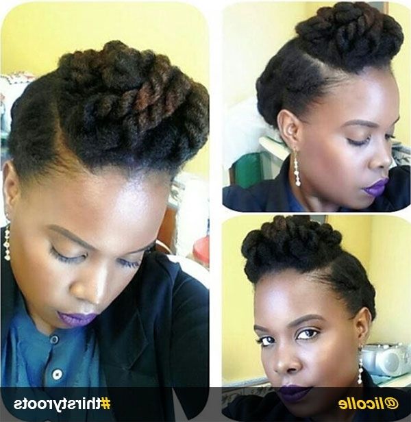 Natural Hair Updo Hairstyles You Can Create With Regard To Most Recent Natural Updo Hairstyles (View 14 of 15)