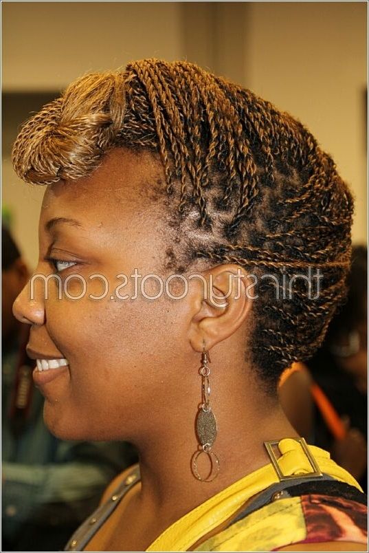 Senegalese Twists Updos Intended For Latest Senegalese Twist Styles Updo Hairstyles (View 14 of 15)