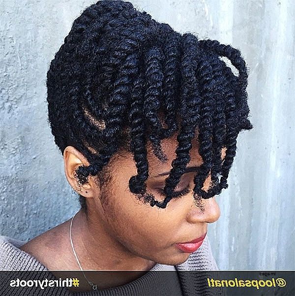 Twist Updo Hairstyles For Natural Hair | Find Your Perfect Hair Style Within Most Current Hair Twist Updo Hairstyles (Photo 10 of 15)