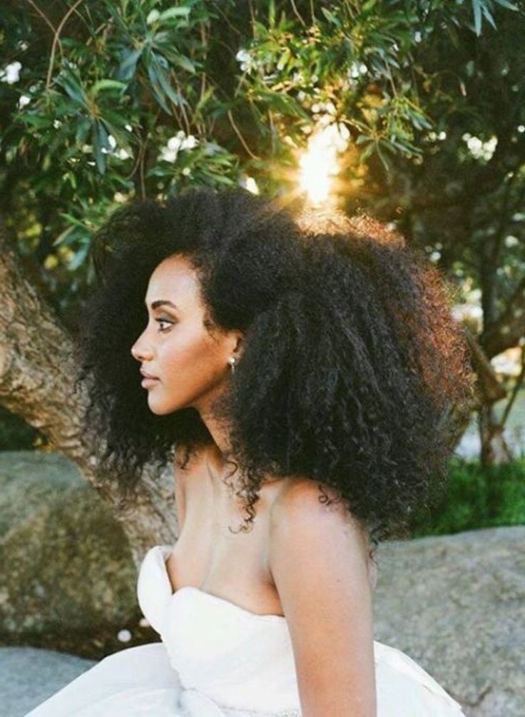 377 Best Natural Hair Brides Images On Pinterest | Black People With Wedding Hairstyles For Kinky Curly Hair (View 7 of 15)