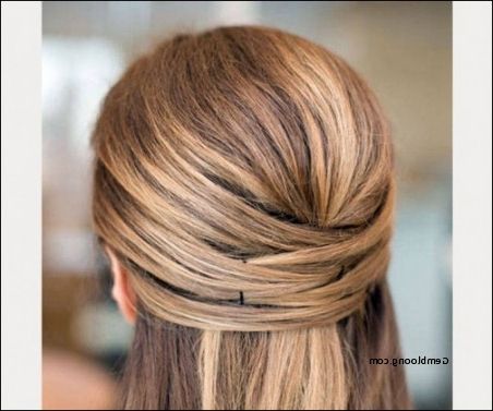 Elegant Hairstyles Half Up Half Down For Straight Hair Best Of Within Half Up Half Down Straight Wedding Hairstyles (View 2 of 15)