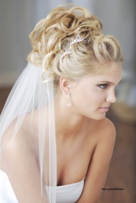 Luxury Wedding Hairstyles For Long Hair Updo With Veil 2018 In Wedding Updos For Long Hair With Veil (View 1 of 15)