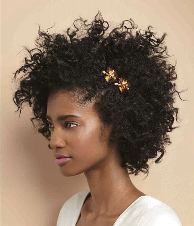 Pretty Little Wedding Things | Accessory Love {hair} | Pinterest Within Wedding Hairstyles For Natural Afro Hair (Photo 8 of 15)
