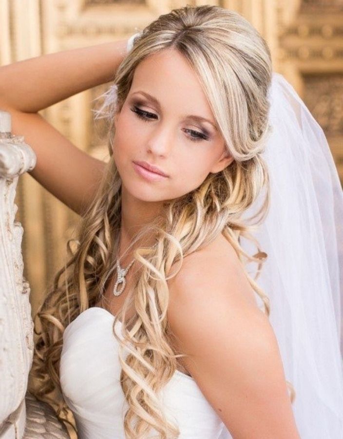 Wedding Hairstyles Long Hair With Veils And Tiaras | Hr (View 6 of 15)