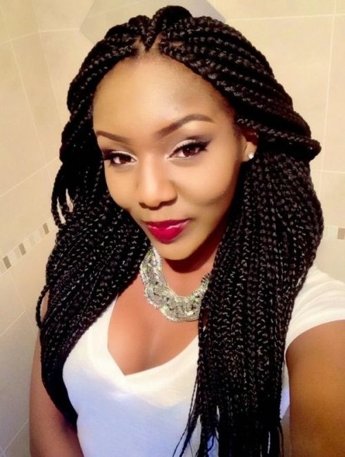 10 African American Braided Hairstyles – Remarkable Braided With Regard To Recent African American Braided Hairstyles (View 7 of 15)