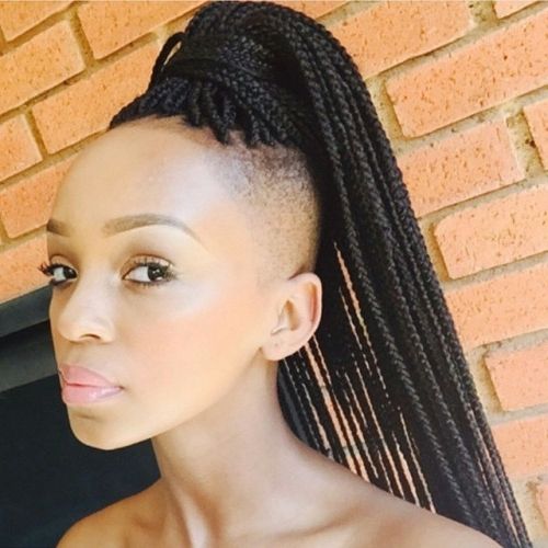 10 Ideas And Inspirations For Black Braided Hairstyles – Black Women Throughout Best And Newest One Side Shaved Braided Hairstyles (View 11 of 15)