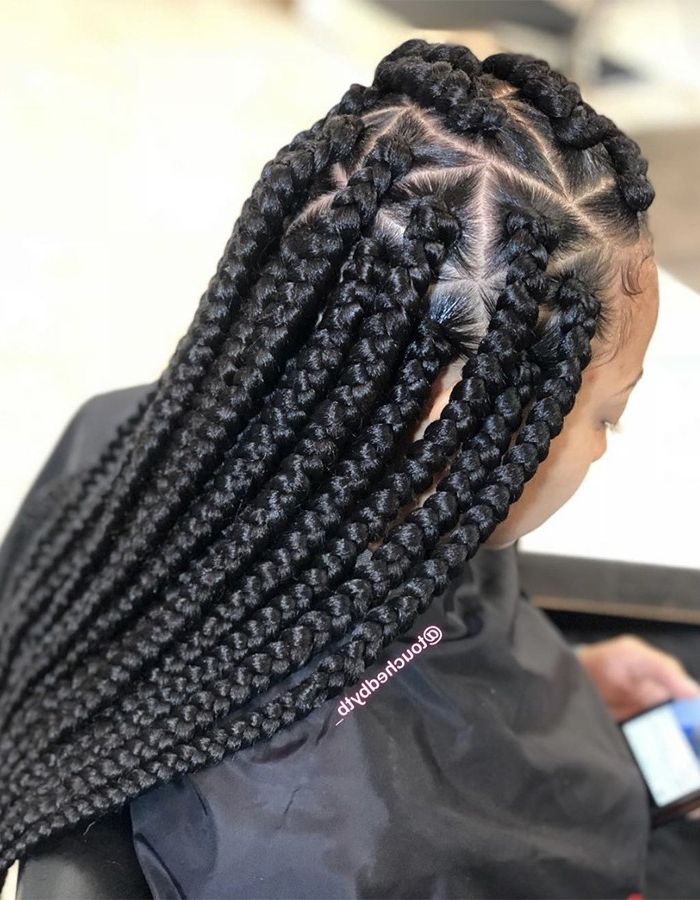 15 Braided Hairstyles You Need To Try Next | Naturallycurly In Most Up To Date Bold Triangle Parted Box Braids (Photo 11 of 15)