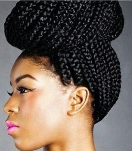 20 Hot Black Braided Hairstyle Pertaining To Most Popular Mixed Braid Updo For Black Hair (Photo 6 of 15)