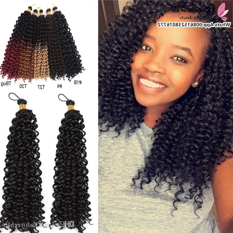 2018 Wholesale Cheap Crochet Braids For South Africa Afro Curly In Most Up To Date Curly Hairstyle With Crochet Braids (View 9 of 15)