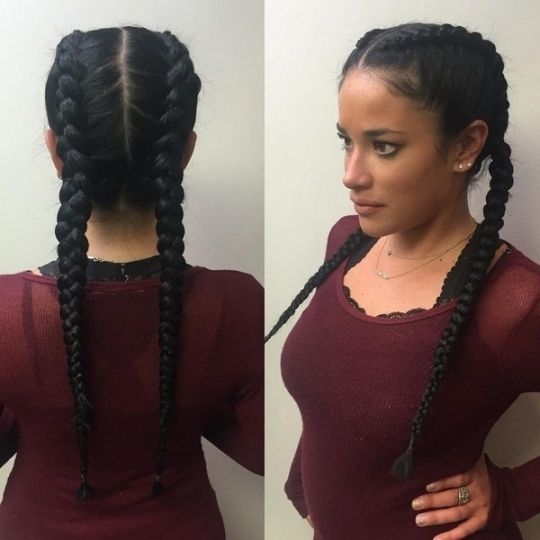 21 Beautiful Two Braids Hairstyles With Images – Lifestyle Nigeria Pertaining To Best And Newest Braided Hairstyles With Two Braids (Photo 7 of 15)