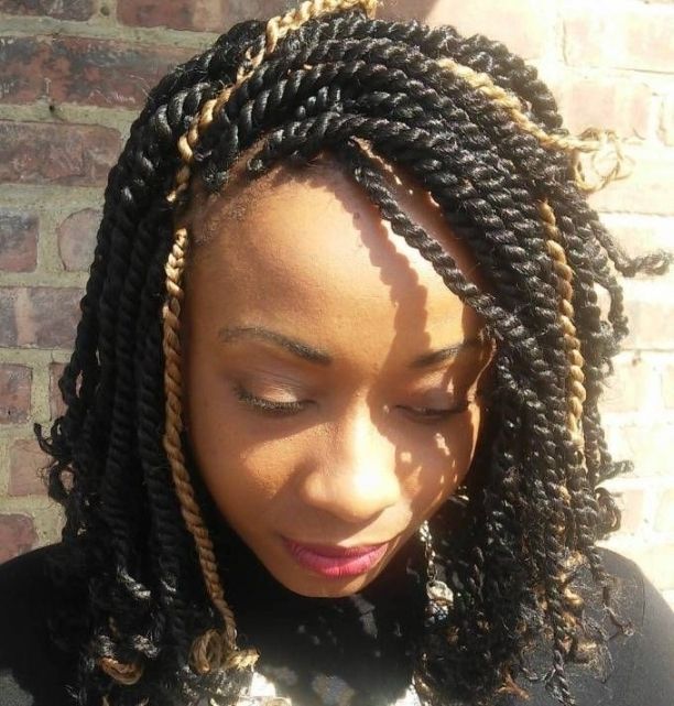 30 Hot Kinky Twists Hairstyles To Try In 2018 | Bobs, Black Braided Pertaining To Newest Kinky Braid Hairstyles (View 2 of 15)