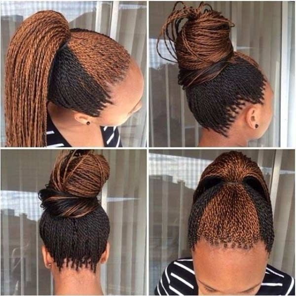 41 Beautiful Micro Braids Hairstyles | Hair | Pinterest | Bun Updo Pertaining To Most Up To Date Micro Cornrows Hairstyles (View 14 of 15)