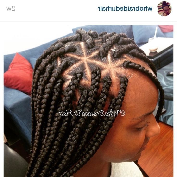 59 Best Marlaqljohnson@gmail Images On Pinterest | Hair Dos With Most Popular Bold Triangle Parted Box Braids (View 6 of 15)