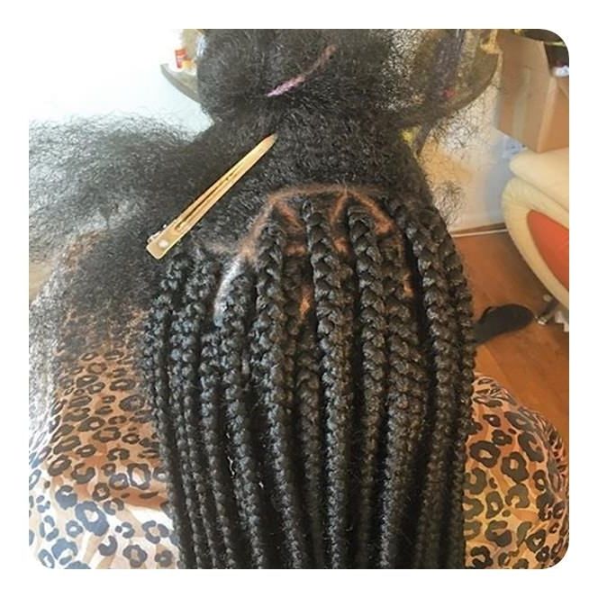 65 Cool Triangle Box Braids That Are So Convenient Intended For Most Current Bold Triangle Parted Box Braids (Photo 13 of 15)