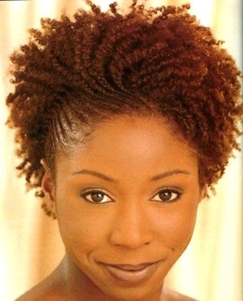 75 Most Inspiring Natural Hairstyles For Short Hair | Short Braided With Regard To Best And Newest Braided Natural Hairstyles For Short Hair (View 6 of 15)