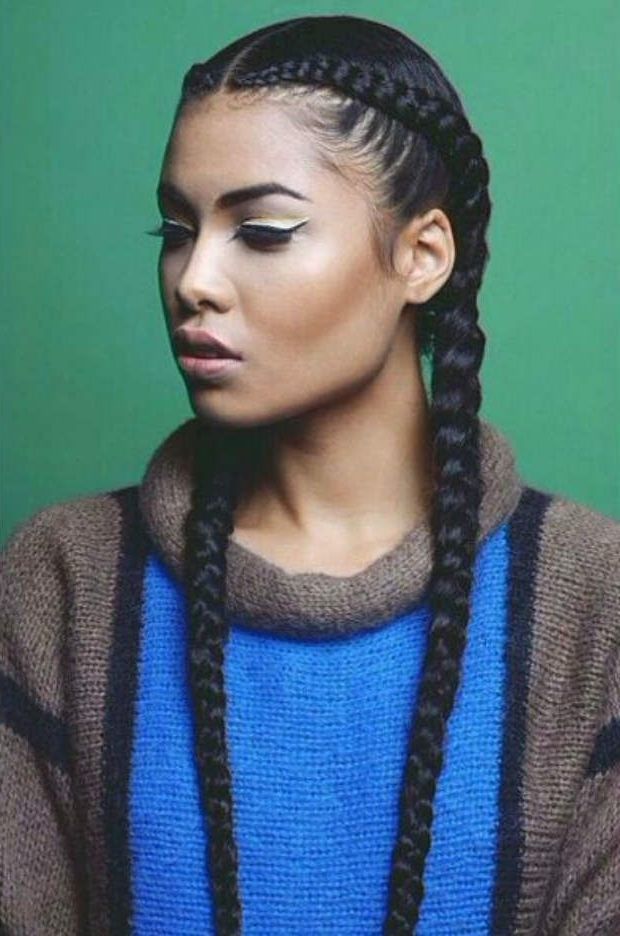 75 Super Hot Black Braided Hairstyles To Wear | Full Skirts In Most Recent Pigtails Braided Hairstyles (View 7 of 15)