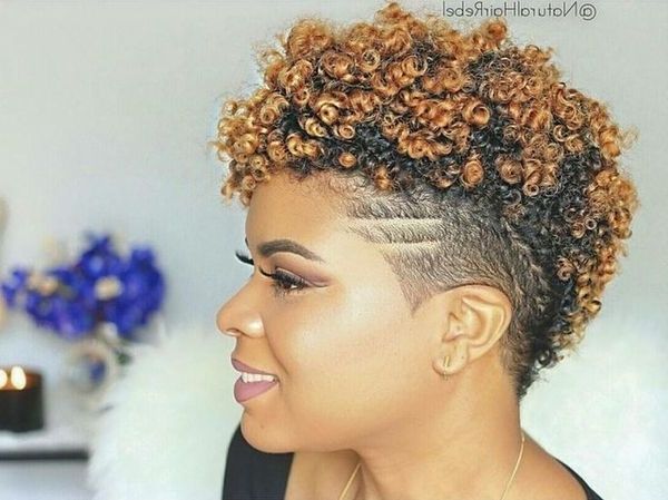Best Tapered Natural Hairstyles For Afro Hair (2018) Pertaining To Latest Braided Hairstyles With Tapered Sides (View 4 of 15)