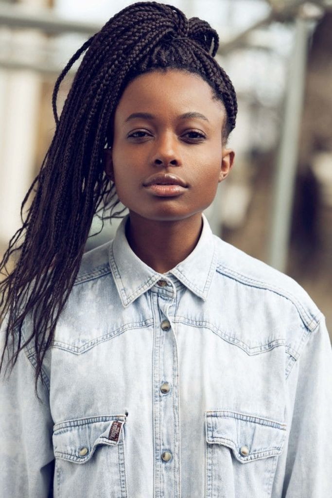Box Braids: 13 Pretty Hairstyles To Inspire Your Next Look Regarding 2018 Thin Double Braids With Bold Bow (View 15 of 15)