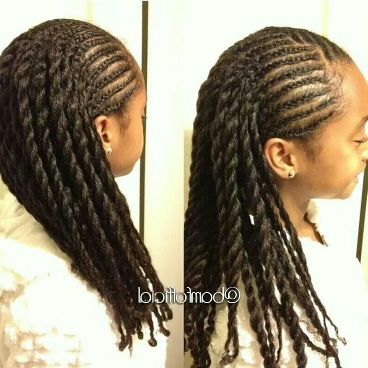 Braid Hairstyles For Black Women With Natural Hair | Hairstyle For Pertaining To Latest Braided Hairstyles With Natural Hair (View 12 of 15)