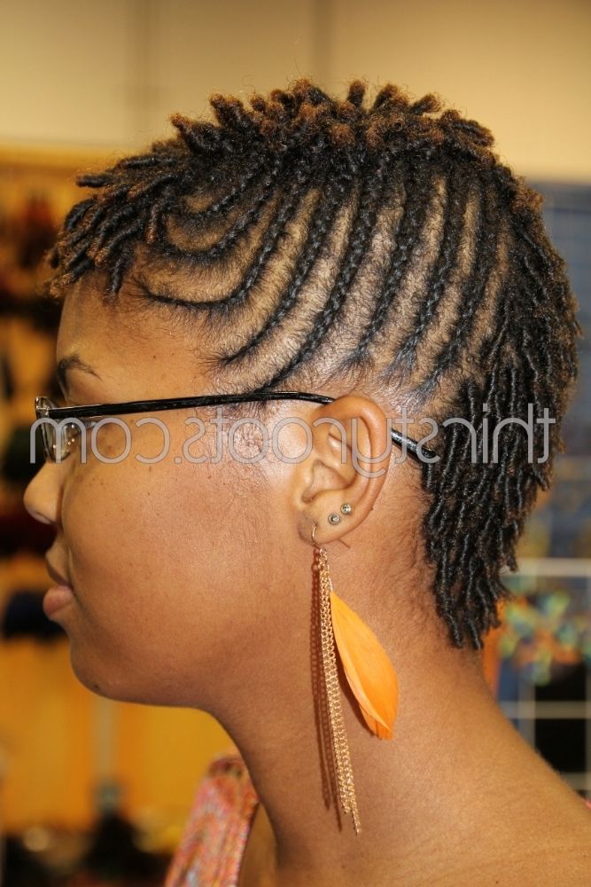 Braids And Mohawk Pertaining To Recent Black Braided Mohawk (View 7 of 15)